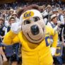 Cal Boys Mascot