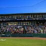 Kane County Cougars 4