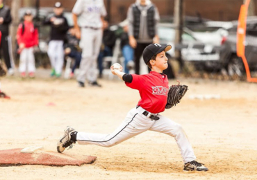 NY Empire Baseball News 858x507