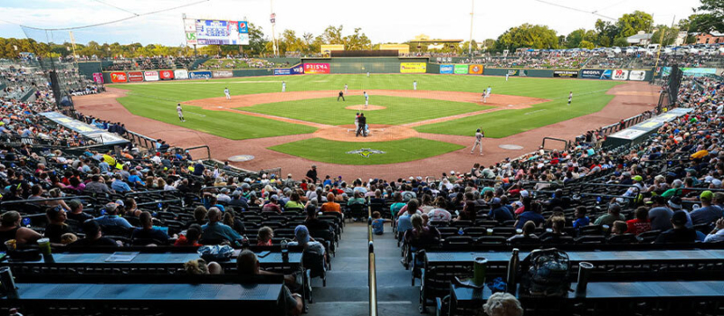 Segra Park Facility Photo Fireflies