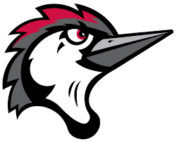 Fayetteville Woodpeckers LOGO